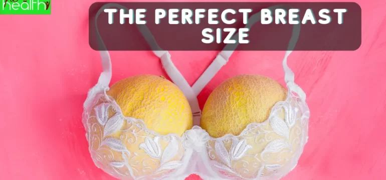 healthy Perfect Breast size