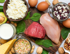 Nutrition Basics For BJJ Athletes 4 Screenshot 2022 10 03 235824